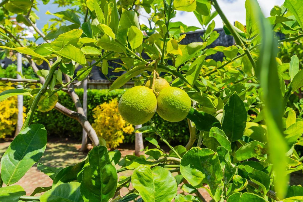 1730 Kaleka 4 Bed Poipu House, Guest House Walk To Beach コロア エクステリア 写真